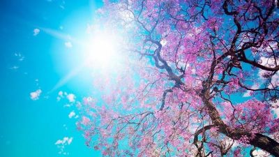 Sabahın HAVA PROQNOZU açıqlandı Sabahın HAVA PROQNOZU açıqlandı
