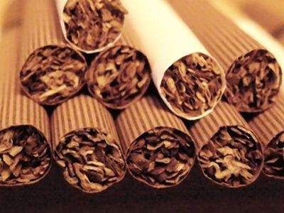 PROQNOZ: Tütün məmulatlarının istehsalı artacaq PROQNOZ: Tütün məmulatlarının istehsalı artacaq