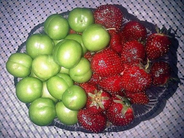 Bu şəxslər qətiyyən ALÇA YEMƏSİN! - Səbəbi... Bu şəxslər qətiyyən ALÇA YEMƏSİN! - Səbəbi...