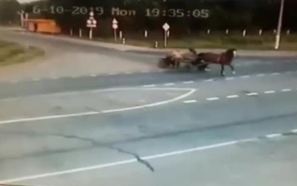 Rusiyada avtomobil at arabasına çırpıldı, 2 nəfər öldü - VİDEO Rusiyada avtomobil at arabasına çırpıldı, 2 nəfər öldü - VİDEO