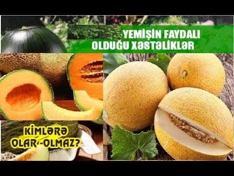 Bu şəxslərə yemiş yemək olmaz - FAYDALARI və ZİYANLARI - VİDEO Bu şəxslərə yemiş yemək olmaz - FAYDALARI və ZİYANLARI - VİDEO