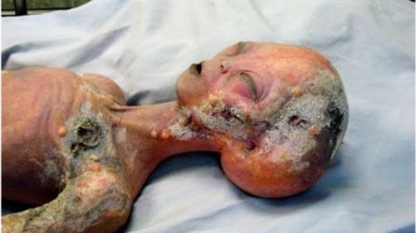 Yadplanetlilərin mövcudluğu haqqında 5 FAKT Yadplanetlilərin mövcudluğu haqqında 5 FAKT