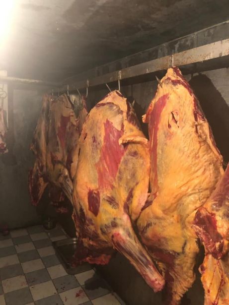 Qurban bayramı günlərində 851 kq istifadəyə yararsız ətin satışının qarşısı alınıb Qurban bayramı günlərində 851 kq istifadəyə yararsız ətin satışının qarşısı alınıb