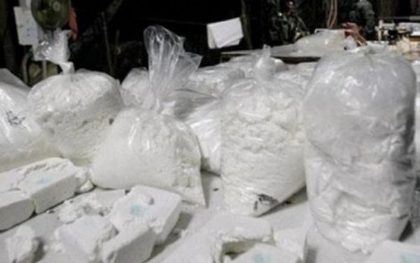 Fransada palma ağaclarından 1 ton narkotik götürüldü Fransada palma ağaclarından 1 ton narkotik götürüldü