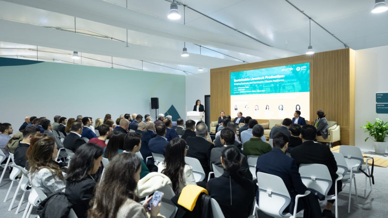 GP Cotton Holdings COP29 çərçivəsində