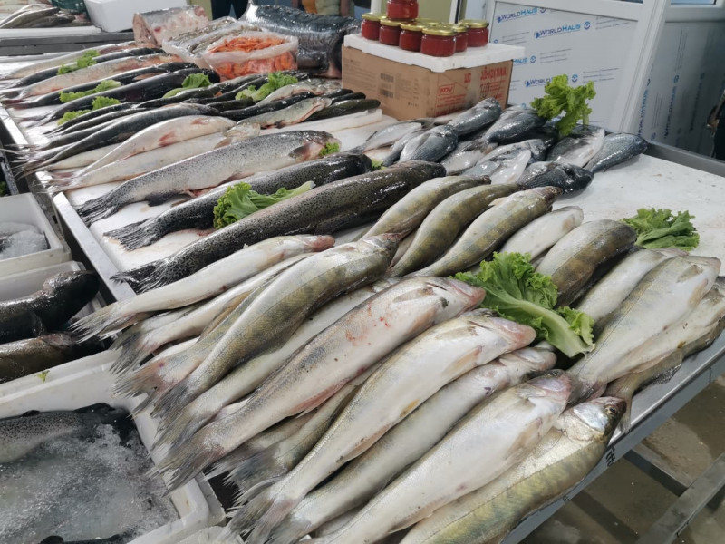 Bakıda balıq yarmarkası fəaliyyətə başladı