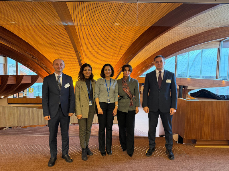 Sima Yaqubova CEPEJ-in 45-ci plenar iclasında iştirak edib