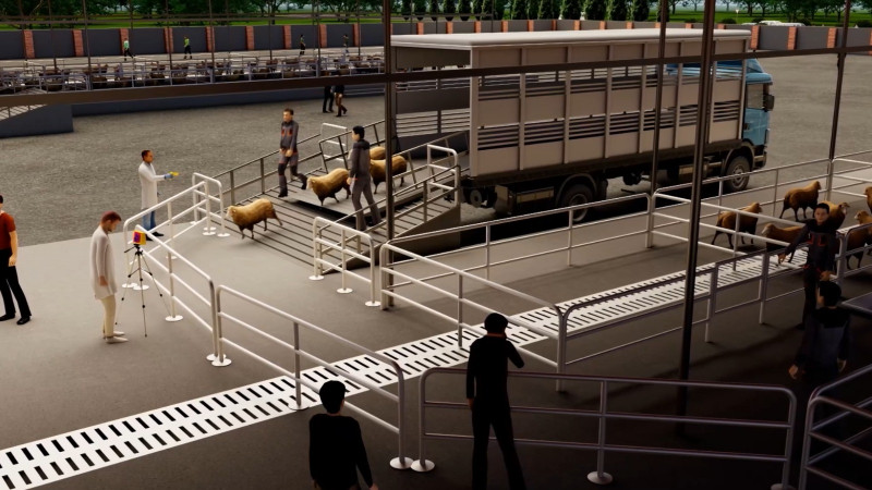 Nümunəvi heyvan bazarı layihəsinin 3D animasiyası