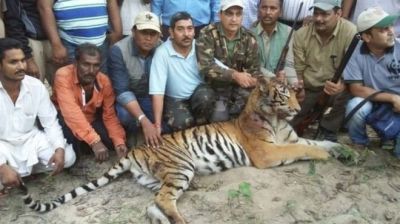 В Индии убили тигрицу-людоеда
