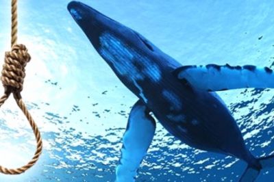 Milyonlarla uşağın intiharına səbəb olan "Blue Whale” ("Mavi Balina”) oyunu haqqında bilmədikləriniz - DİQQƏTLİ OLUN Milyonlarla uşağın intiharına səbəb olan "Blue Whale” ("Mavi Balina”) oyunu haqqında bilmədikləriniz - DİQQƏTLİ OLUN