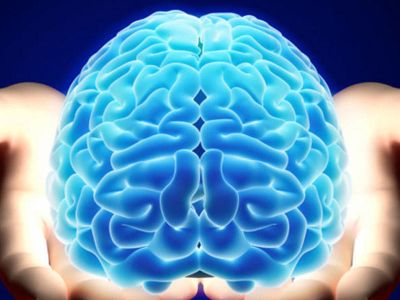 Beynin fəaliyyətini artıran 7 MARAQLI ÜSUL