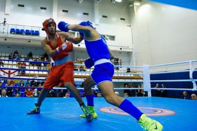 İki boksçumuz Avropa çempionu oldu - FOTO