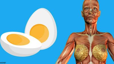 Yumurtanın faydaları ilə bağlı - MARAQLI FAKTLAR