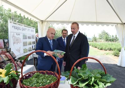 Prezident İlham Əliyev sahibkarlar üçün elə bir imkan yaratdı ki...