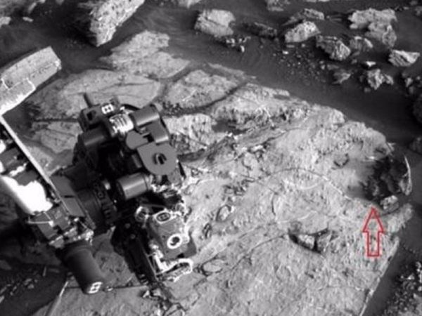 NASA-nın insanlardan gizlətdiyi GERÇƏKLƏR - Marsda əslində hansı canlılar yaşayır?