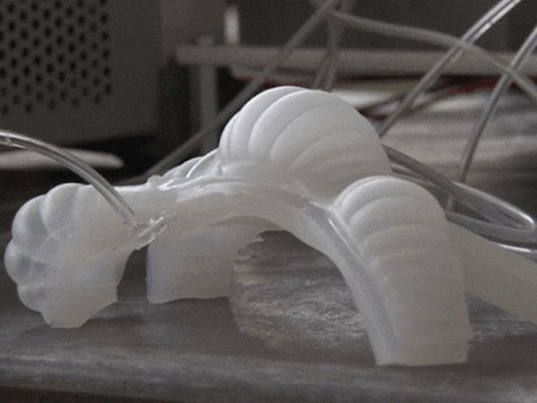 NASA şişirdilmiş robotlar üzərində işləyir NASA şişirdilmiş robotlar üzərində işləyir
