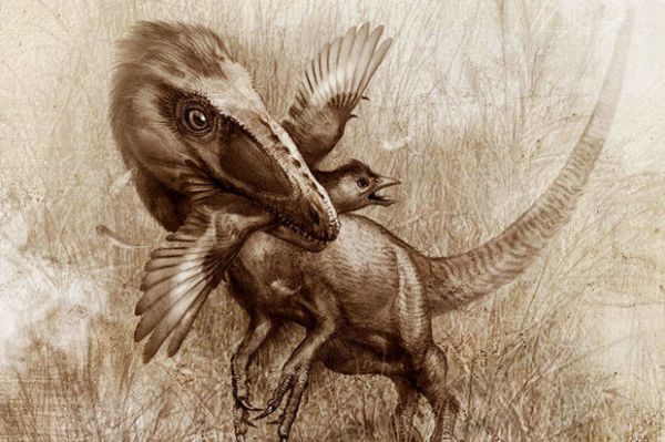 Çində 100 milyon il yaşı olan dinozavr izləri tapılıb