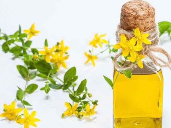 Bu bitki təbii antidepressantdır Bu bitki təbii antidepressantdır