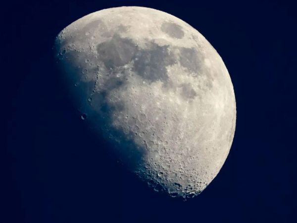 Elm adamları Yerdəki bu canlıları Aya göndərib Elm adamları Yerdəki bu canlıları Aya göndərib