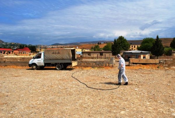 Abşeron və Şəmkirdə qurbanlıq diri heyvan kəsimi və satışı aparılan yerlərdə dezinfeksiya işləri yekunlaşıb Abşeron və Şəmkirdə qurbanlıq diri heyvan kəsimi və satışı aparılan yerlərdə dezinfeksiya işləri yekunlaşıb