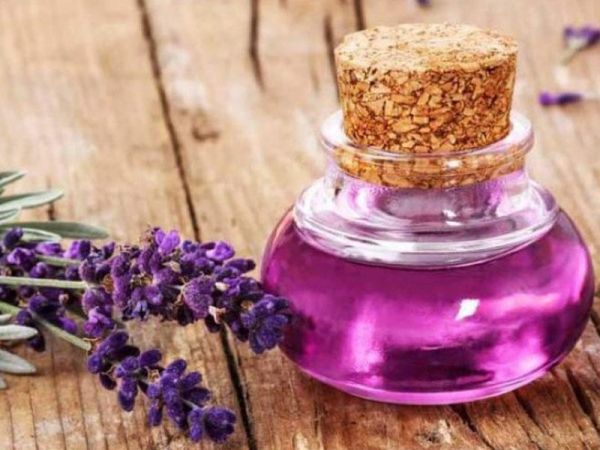 Revmatizm xəstəliyi, miqren tutmaları... - LAVANDA YAĞININI MÖCÜZƏVİ FAYDALARI Revmatizm xəstəliyi, miqren tutmaları... - LAVANDA YAĞININI MÖCÜZƏVİ FAYDALARI