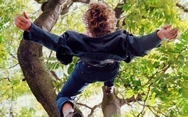 Tovuz sakini qoz ağacından yıxılıb öldü Tovuz sakini qoz ağacından yıxılıb öldü