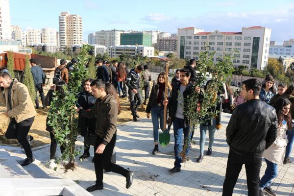 BDU kollektivi Universitet ərazisinə 650 ağac əkdi