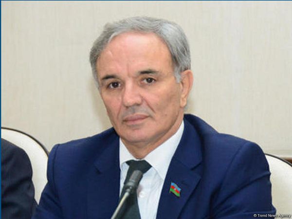 Parlamentin yenidən formalaşması vacibdir - Əflatun Amaşov