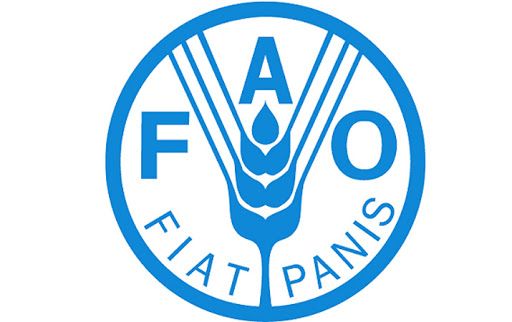 FAO to help Azerbaijan reduce food waste