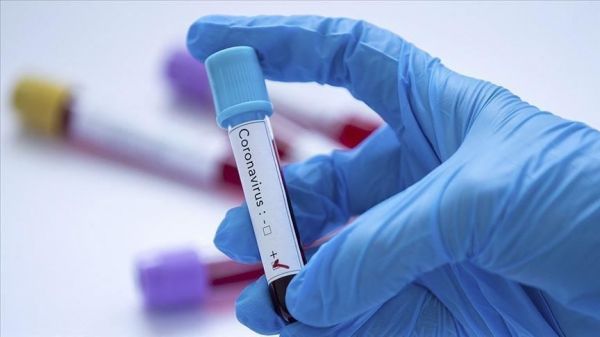 В Азербайджане обнаружено 65 новых случаев заражения коронавирусом