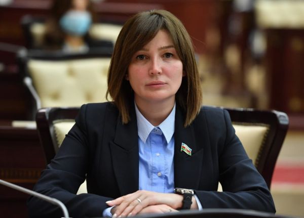 Deputat Jalə Əhmədova Milli Məclisdə Salyanın problemlərini qaldırdı