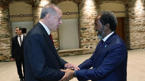Президенты Турции и Сомали обсудили борьбу с терроризмом и региональные вопросы
