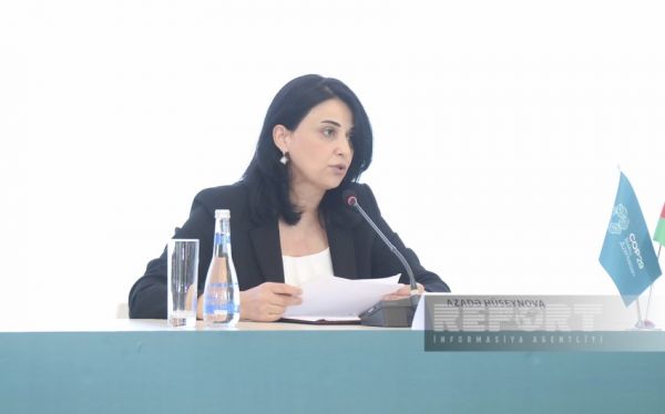 Azerbaijan to activate online reservation system for COP29 participants today