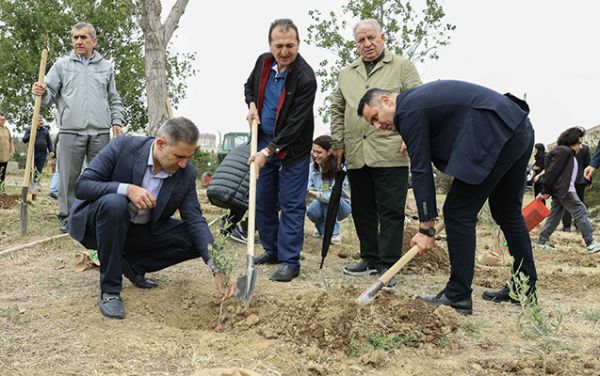 “Zeytun bağları” beynəlxalq elmi konfransa dəstək verib - FOTOLAR “Zeytun bağları” beynəlxalq elmi konfransa dəstək verib - FOTOLAR