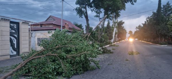 Güclü küləyin elektrik enerjisi təsərrüfatına vurduğu ziyan aradan qaldırılır Güclü küləyin elektrik enerjisi təsərrüfatına vurduğu ziyan aradan qaldırılır