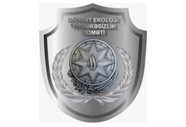 Sumqayıtda sahibsiz iti öldürən şəxs cərimə edilib Sumqayıtda sahibsiz iti öldürən şəxs cərimə edilib