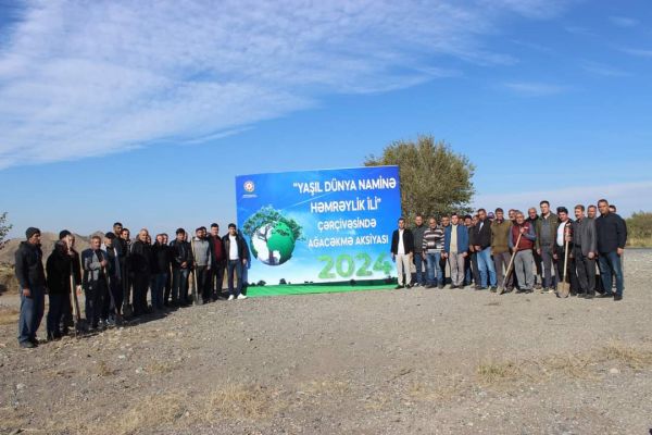 “COP29” ərəfəsində Ordubadda növbəti yaşıllaşdırma tədbirləri həyata keçirilib - FOTOLAR “COP29” ərəfəsində Ordubadda növbəti yaşıllaşdırma tədbirləri həyata keçirilib - FOTOLAR