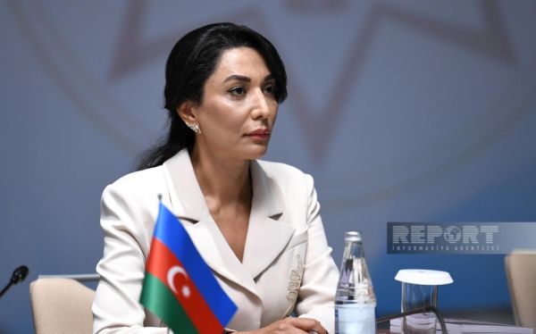 Ombudsman ötən il üzrə məruzəsini Prezidentə təqdim edib
