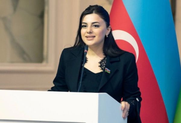 İğdır-Naxçıvan qaz kəmərinin açılışı hər iki ölkə üçün yeni layihələrin başlanğıcıdır - ŞƏRH