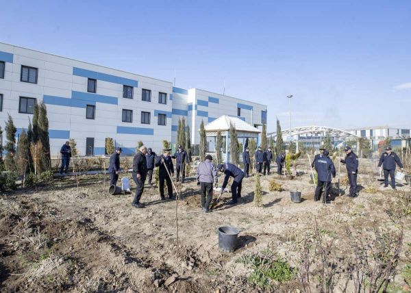 Ağacəkmə aksiyaları keçirilib Ağacəkmə aksiyaları keçirilib