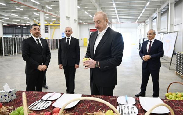 Prezident Qusarda kompleksin fəaliyyəti ilə tanış oldu