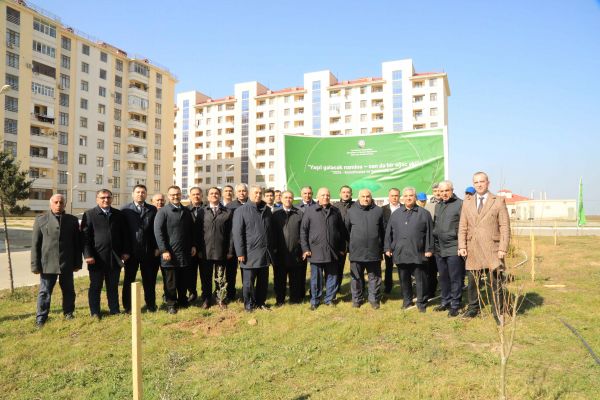 Dövlət Komitəsi “Konstitusiya və Suverenlik İli” çərçivəsində ağacəkmə aksiyası təşkil edib