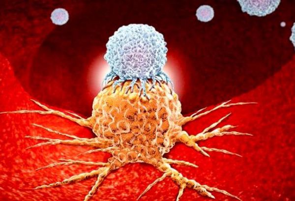 Alimlər xərçəngin müalicəsində yeni innovativ yanaşmanı araşdırıblar