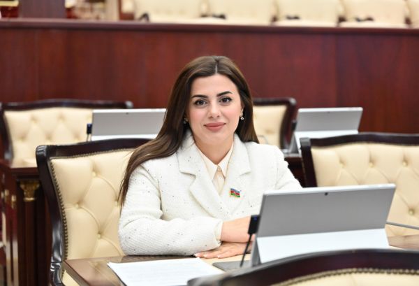 Azərbaycan ilə Macarıstanın enerji sahəsindəki əməkdaşlığı yeni mərhələyə qədəm qoyur - ŞƏRH