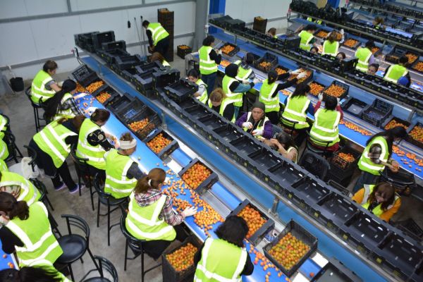 “Aqropat” MMC-yə məxsus soyuducu anbar kompleksinə baxış keçirilib