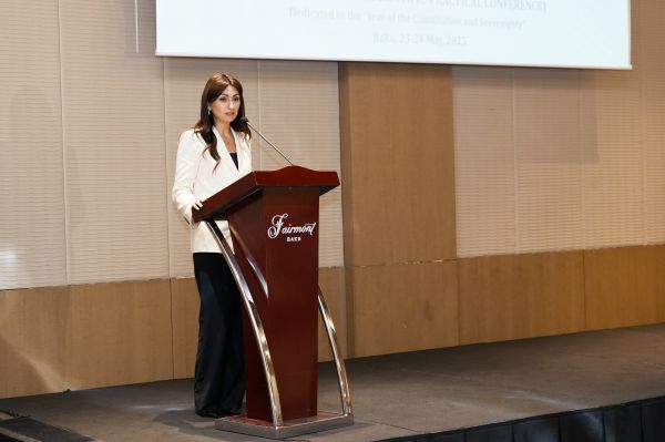"Birgə səylərin gücləndirilməsi effektivliyin artırılması baxımından vacibdir” - Samirə Musayeva