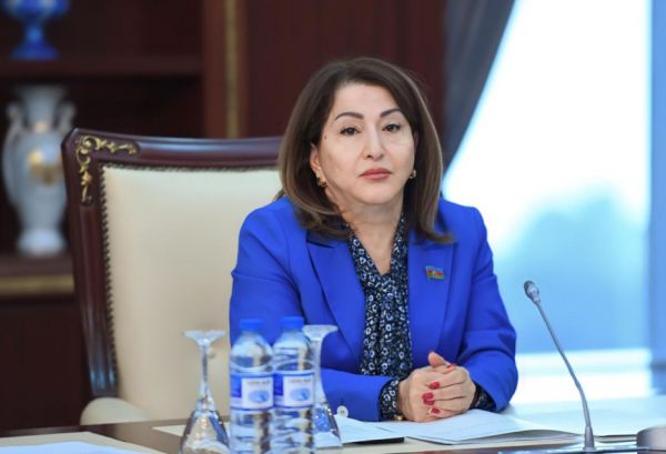 Ərazi bütövlüyünü tam təmin edən Azərbaycan Cümhuriyyətin tamhüquqlu varisi olduğunu sübuta yetirib - ŞƏRH
