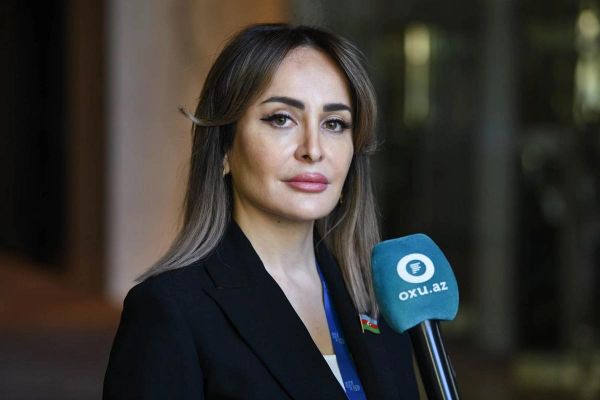 Deputat: "Azərbaycan enerji sahəsində mühüm aktora çevrilib"