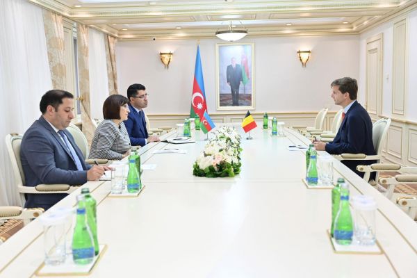 Sahibə Qafarova Belçika Krallığının ölkəmizdəki səfiri ilə görüşüb