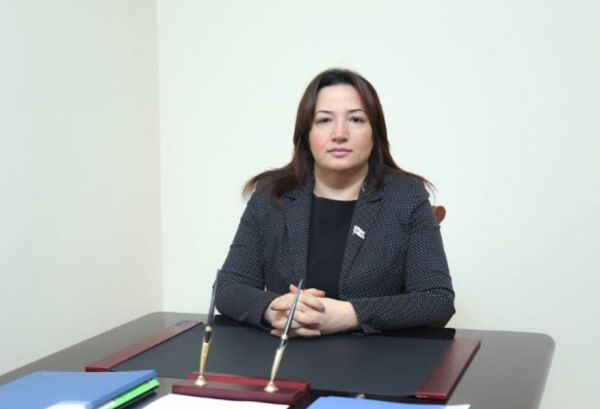Enerji sahəsində keçirilən beynəlxalq tədbirlər Azərbaycanın yüksələn mövqeyinin göstəricisidir - ŞƏRH